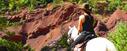 Volcano landscape on horseback Catalonia