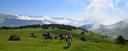 Vast Catalonian landscape on horseback