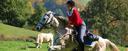 Independent speedy horse riding Barcelona Girona