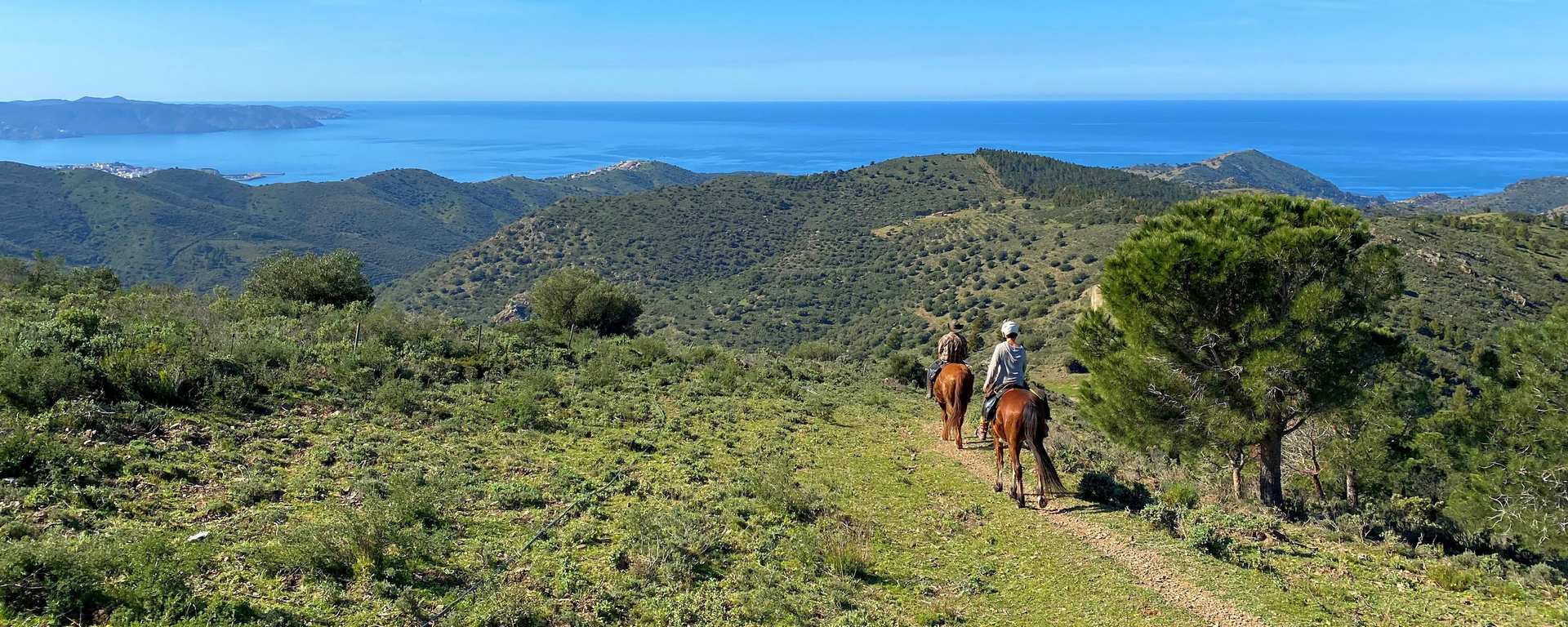  Wanderreiten am Meer - wie mit dem eigenen Pferd!