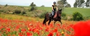 trail riding north spain