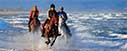 Gallop Mediterranean Sea horse riding Catalonia