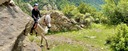 Sure-footed trail horses Pyrenees