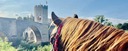 View from horseback of the medieval village of Besalú during a riding adventure near Barcelona