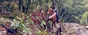 Trail riders climbing mountain trails on horseback in Catalonia during summer 