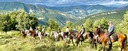 Smiling trail riders posing for a group photo in a green mountain landscape in the Alta Garrotxa