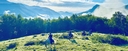 Trail riders riding uphill across a mountain meadow in the early morning light, surrounded by trees and peaks