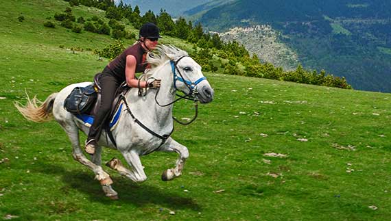  Herders Trail